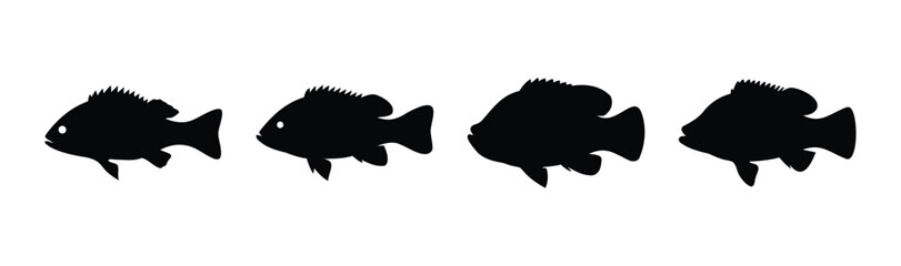 Four black fish silhouettes in a row on a clean white backdrop