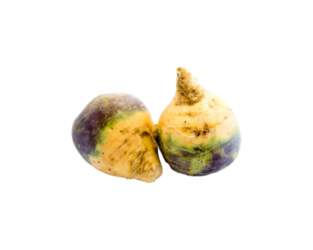 Steckrüben Kohlrübe freigestellt isoliert Studio