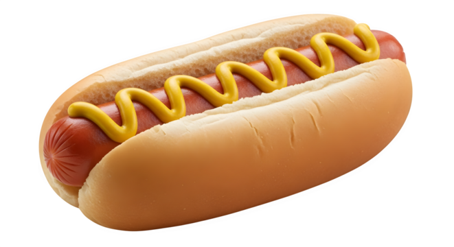 A classic hot dog with mustard, a popular and delicious fast food item