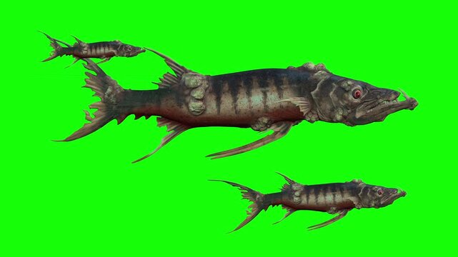 Scary deep sea monster fish swimming on green screen