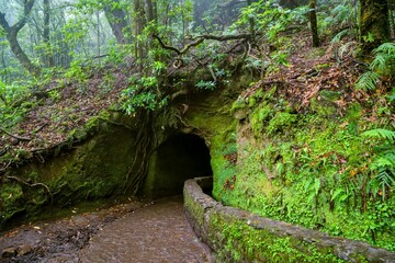 Entrance to short tunnel on Levada do Caldeirao Verde trail