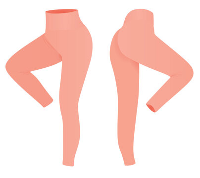 Pink tight pants leggings. vector illustration	

