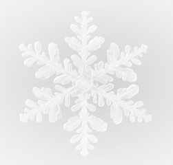 snowflake winter season Png

