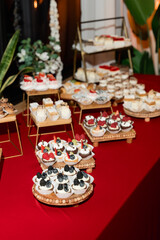 Assortment of Delicious Mini Fruit and Chocolate Desserts