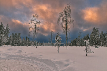 Fototapety na wymiar - Fototapeta24.pl