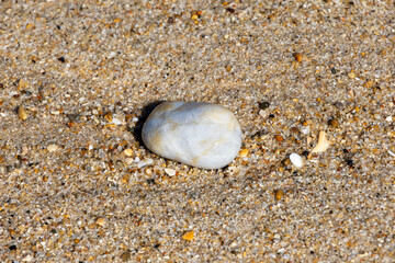 Smooth white pebble resting on sunlit sand at the beach Portugal, Ovar – Furadouro, 10.10.2025
