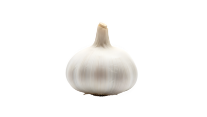 Fresh whole garlic bulb, a common culinary ingredient, isolated on transparent background