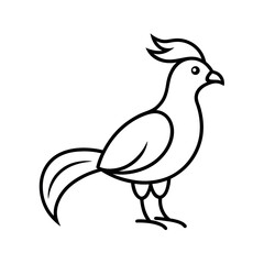 Turaco Outline Vector Illustration