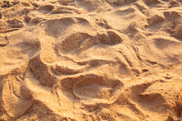 Golden sand with textured ripples under warm sunlight, creating a natural ecological background suitable for themes of climate change, environment, nature patterns, and coastal landscapes.