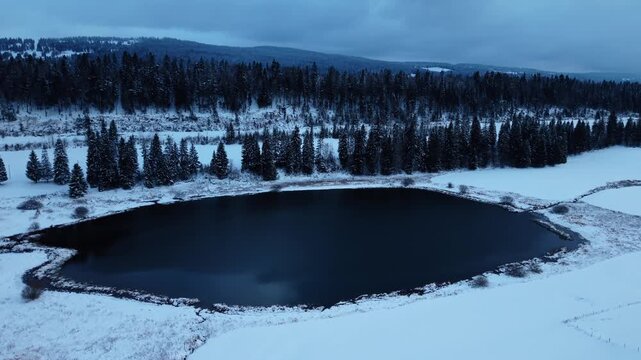 Aerial view of the dark waters of Lake Ter contrasting with the snow-covered landscape and evergreen trees, creating a serene winter scene, Le Lieu, Vaud, Switzerland.