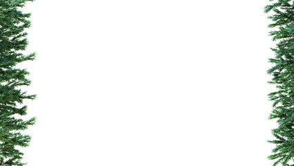 A border of evergreen branches on a white background