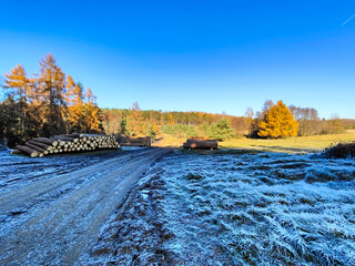 A field covered in frost with a pile of logs in the foreground