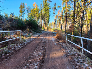 A dirt road in the middle of a wooded area with a white fence
