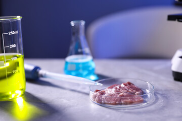 GMO concept. Petri dish with meat, liquids and micropipette on light background, closeup
