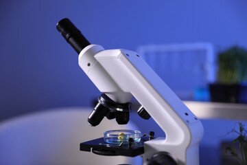 GMO concept. Microscope with product sample in laboratory, closeup