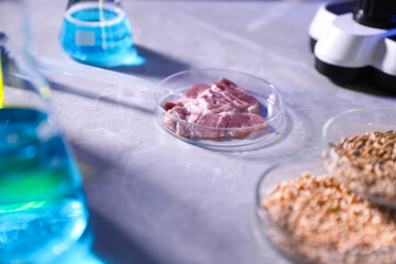 GMO concept. Petri dishes with product samples and liquids on light background, closeup