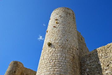 Ruins of the feudal castle