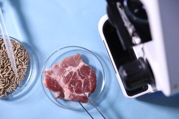 GMO concept. Microscope and Petri dishes with samples of products on light blue background, flat lay