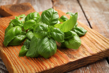Fresh basil leaves on color wooden table, closeup