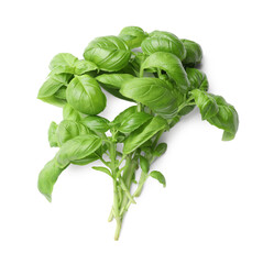 Sprigs with green basil leaves isolated on white, top view