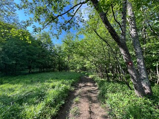 The signposted path “Along the Rjecina” trail (Rijeka, Croatia) - Markirana pješačko-izletnička staza “Šetnica uz Rječinu” (Ričina ili Rečina) ili šetnica Rječina (Rijeka, Hrvatska)