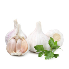 Fresh garlic and parsley isolated on white
