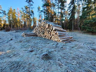 A pile of logs sitting on top of a snow covered field
