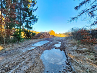 A dirt road in the middle of a wooded area with snow on the ground