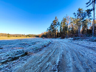A dirt road in the middle of a frosty field with trees in the background