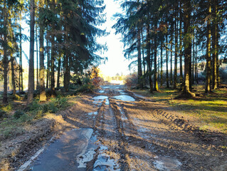 A dirt road in the middle of a wooded area with trees and water