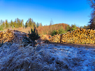 A pile of logs sitting on top of a snow covered field