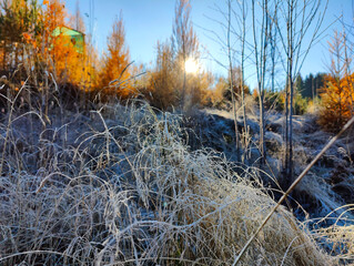 A field of frosty grass with the sun setting in the background