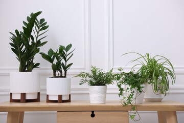 Fototapeta premium Different potted houseplants on wooden table near white wall. Space for text