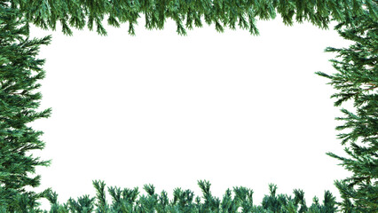 A border of green christmas trees on a white background