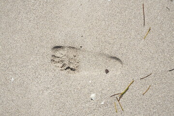 A barefoot footprint on the sand.