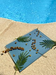 Blueprint - cyanotype art in the making