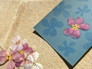 Cyanotype - blueprint in the sun