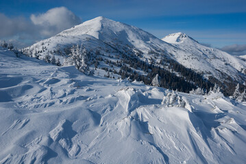 View of snow-covered mountain peaks piercing the crisp blue sky, with frosted trees dotting the slopes, a serene winter landscape, Jamnik, Zilinsky kraj, Slovakia.