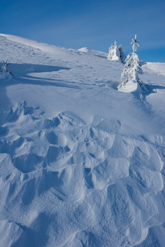 View of wind-sculpted snowdrifts create mesmerizing patterns under a clear blue sky, with frosted trees standing guard in in Babky, Western Tatras,Jamnik, Zilinsky kraj, Slovakia.