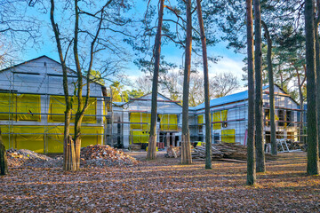 Renovation of buildings surrounded by tall pine trees with scaffolding and construction materials