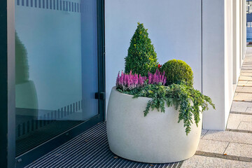 Decorative outdoor planter with evergreen shrubs, heather, and greenery beside modern building