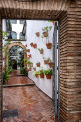 Old typical narrow street in Cordoba with old buildings with white walls decorated with colorful flower pots