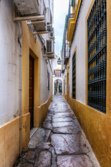 Old typical narrow street in Cordoba with old buildings with white walls decorated with colorful flower pots