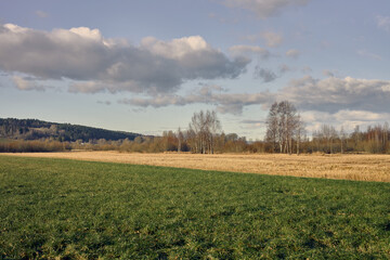 Fototapeta premium Nordic Fields at River Delta Edge