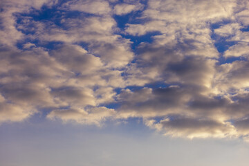 Fototapeta premium Cloudy sky with textured clouds and soft light.