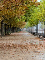 Beautiful view of Tuileries Garden in Paris France, showcasing vibrant autumn colors, iconic pathways, and the stunning backdrop of historic city landmarks