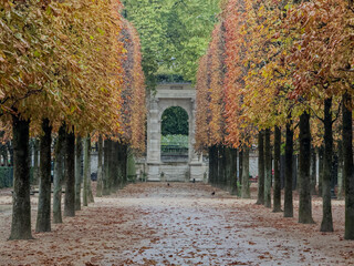 Beautiful view of Tuileries Garden in Paris France, showcasing vibrant autumn colors, iconic pathways, and the stunning backdrop of historic city landmarks