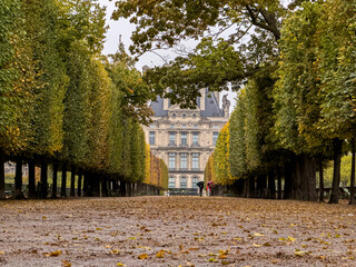 Beautiful view of Tuileries Garden in Paris France, showcasing vibrant autumn colors, iconic pathways, and the stunning backdrop of historic city landmarks