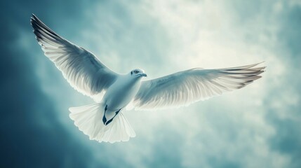 Obraz premium seagull against blue sky generative ai