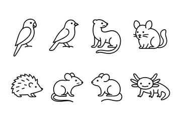 Set of exotic and small pet icons. Ferret, chinchilla, mice, birds, hedgehog and axolotl for pet shop, vet and animal care projects. Vector illustration.
